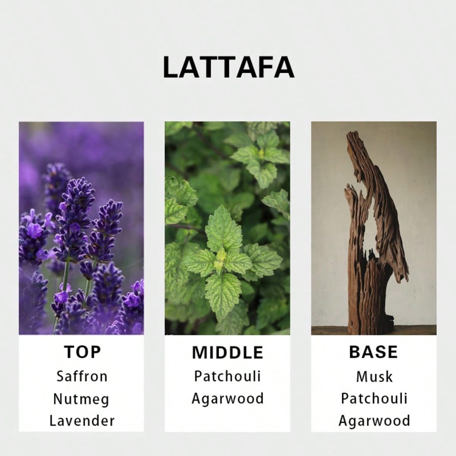 Lattafa Badee Al Oud For Glory - Fragrance And Perfume recensione e prezzo
