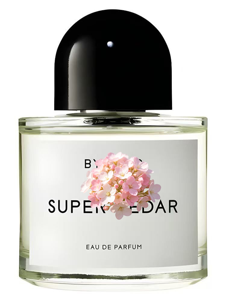 Eau de Parfum Unisex 100ml 3.4 - Perfume Fragrance For Women recensione e prezzo